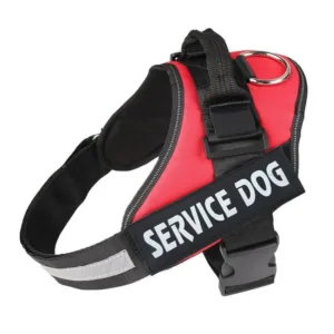 Arnés service dog